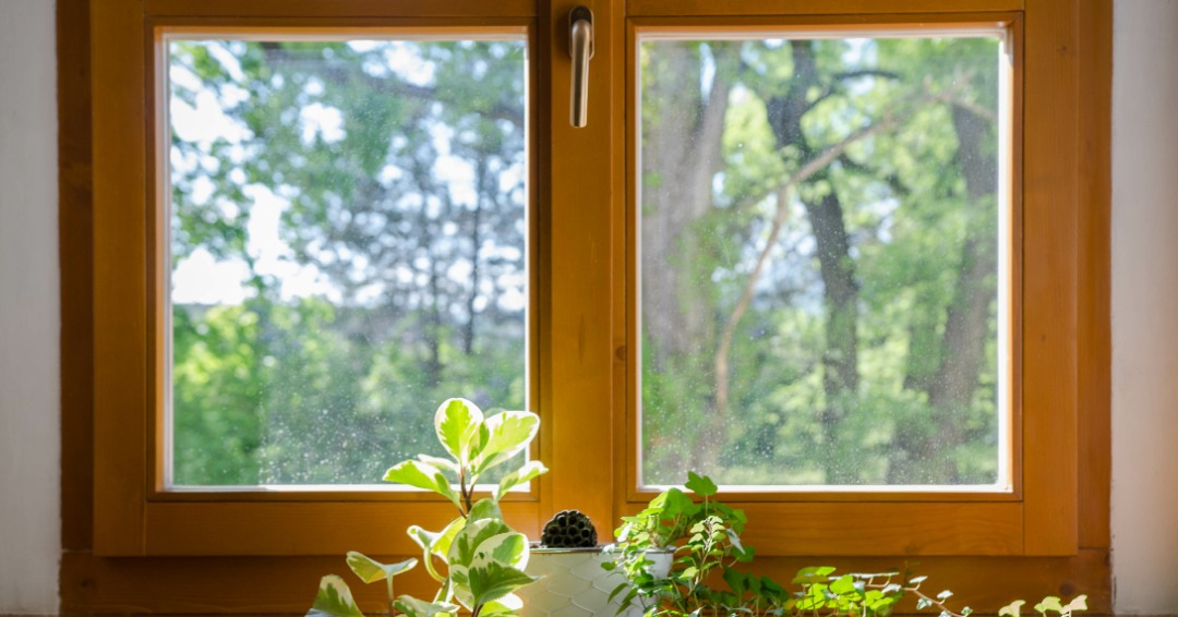 wood window problems