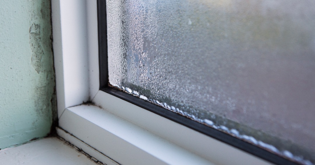 window condensation